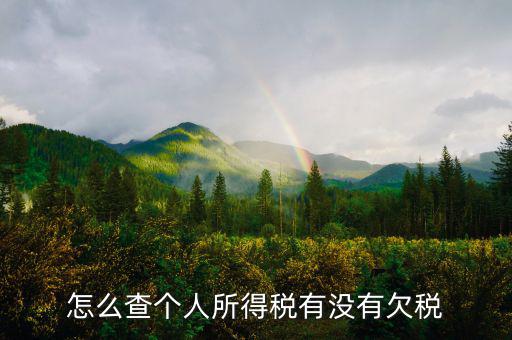 個(gè)人企業(yè)如何查欠稅啊，個(gè)體工商戶怎么查詢是否欠稅