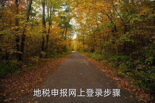 廣西國稅地稅如何網(wǎng)上申報，稅務申報如何網(wǎng)上申報