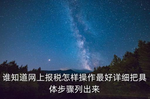 如何進(jìn)行網(wǎng)上納稅申報，如何進(jìn)行網(wǎng)上申報稅款