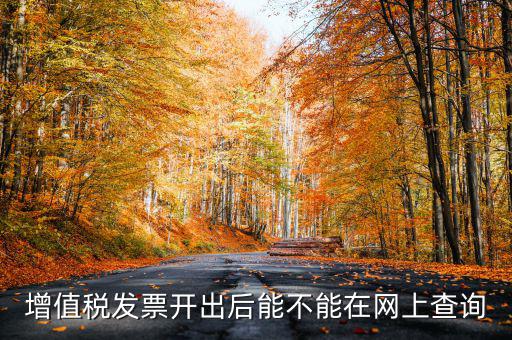 如何查詢發(fā)票完稅，稅控軟件上已經(jīng)開的發(fā)票怎么查詢