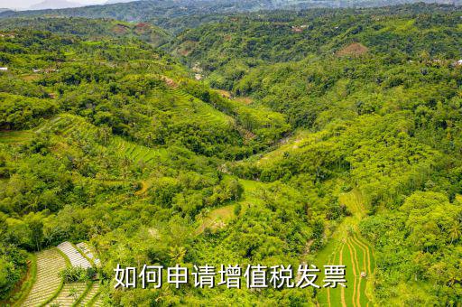 增值稅卷式發(fā)票如何申，新開公司如何申請增值稅發(fā)票
