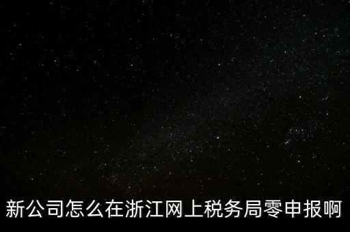 新公司怎么在浙江網(wǎng)上稅務局零申報啊