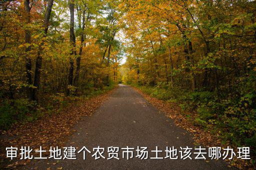 農(nóng)貿(mào)市場土地如何取得，審批土地建個(gè)農(nóng)貿(mào)市場土地該去哪辦理