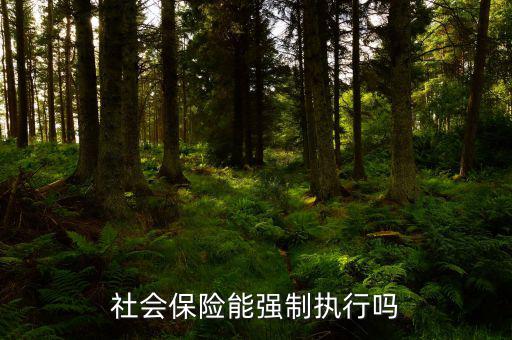 社會保險費(fèi)如何執(zhí)行，社會保險能強(qiáng)制執(zhí)行嗎