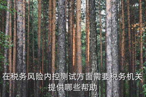 在稅務(wù)風(fēng)險內(nèi)控測試方面需要稅務(wù)機關(guān)提供哪些幫助
