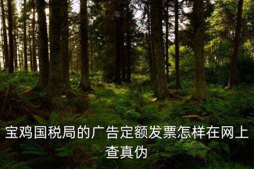 國(guó)稅定額發(fā)票如何查驗(yàn)，國(guó)稅的定額發(fā)票怎么辨別真假制作的跟假的似的