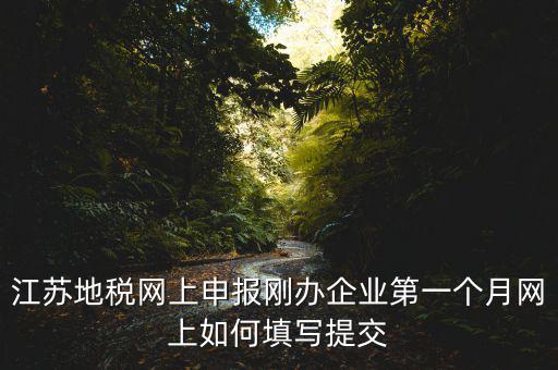 江蘇地稅網上申報剛辦企業(yè)第一個月網上如何填寫提交