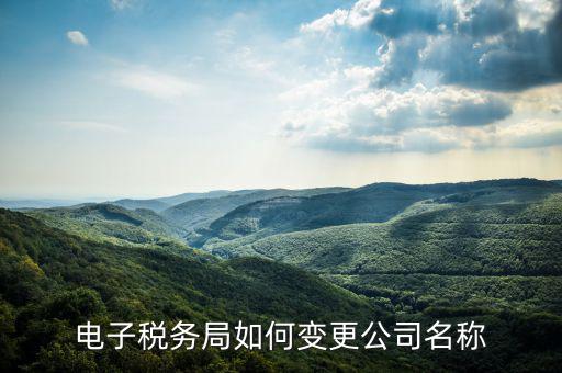 國稅系統(tǒng)如何更改公司，自然人電子稅務(wù)局怎么更換企業(yè)