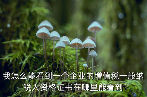 增值稅一般納稅人資格如何查詢，重慶國稅網(wǎng)如何查詢企業(yè)是否一般納稅人