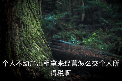 個(gè)人出租不動產(chǎn)如何納稅，個(gè)人房產(chǎn)出租應(yīng)如何納稅 住宅可按5稅率征收