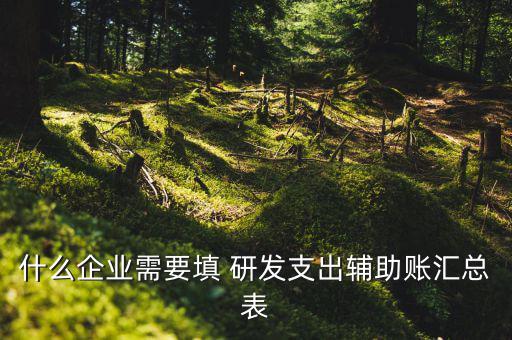 研發(fā)支出 輔助賬匯總表如何填寫，什么企業(yè)需要填 研發(fā)支出輔助賬匯總表