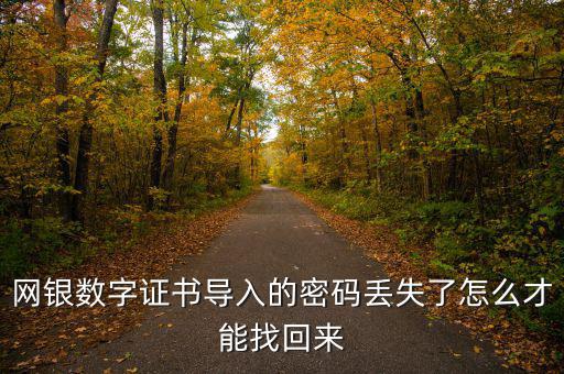 數(shù)字證書密碼錯誤如何找回，營業(yè)執(zhí)照數(shù)字證書密碼忘記了 怎么辦