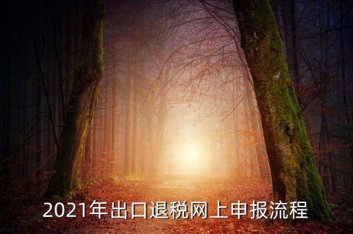 如何登錄出口退稅網(wǎng)，出口退稅申報流程操作