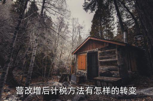 營改增后地稅如何轉(zhuǎn)型，營改增如何把地稅轉(zhuǎn)成國稅