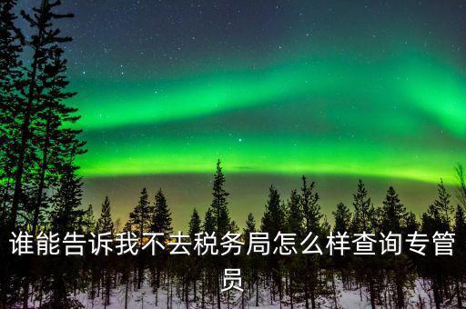 誰能告訴我不去稅務局怎么樣查詢專管員