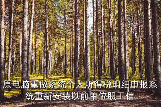 原電腦重做系統(tǒng)個人所得稅明細申報系統(tǒng)重新安裝以前單位職工信