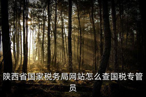 陜西省國家稅務局網站怎么查國稅專管員