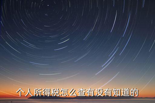 張家港個人所得稅如何查詢，個人所得稅怎么查有沒有知道的