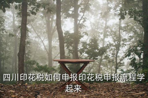 四川企業(yè)地稅如何網(wǎng)上申報(bào)，四川地稅企業(yè)所得稅怎么申報(bào)