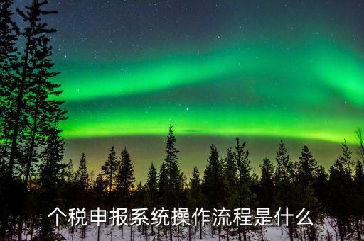 個(gè)稅申報(bào)系統(tǒng)操作流程是什么