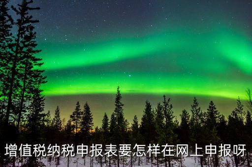 增值稅網(wǎng)上如何申報(bào)系統(tǒng)，增值稅納稅申報(bào)表要怎樣在網(wǎng)上申報(bào)呀