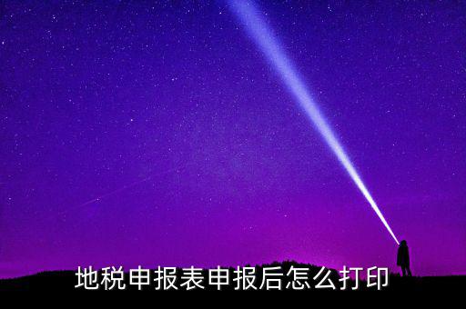 地稅如何打印申報表，地稅納稅申報表怎么打印