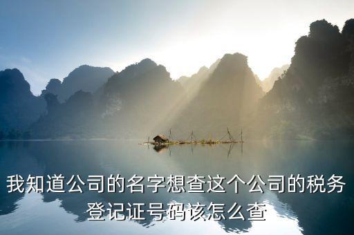 山東 如何查企業(yè)稅務(wù)信息查詢(xún)，我知道公司的名字想查這個(gè)公司的稅務(wù)登記證號(hào)碼該怎么查