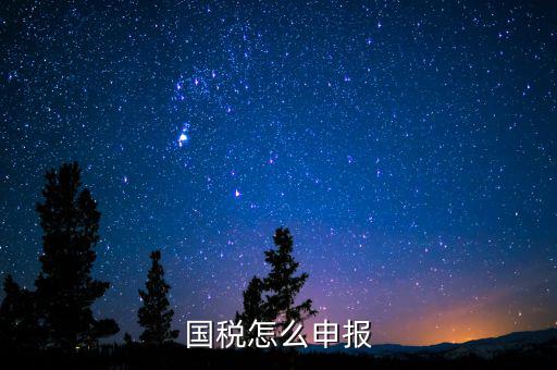 北京國稅如何登陸申報，國稅如何網(wǎng)上零申報 具體步驟有五個