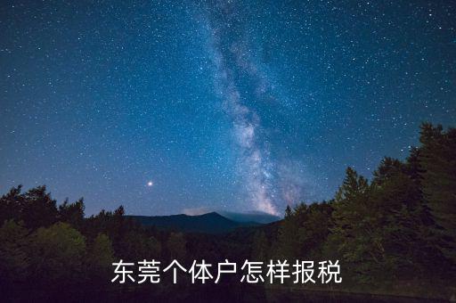 東莞?jìng)€(gè)體戶(hù)怎樣報(bào)稅