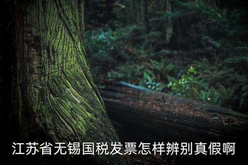 如何查詢無(wú)錫國(guó)稅發(fā)票真?zhèn)尾樵?，江蘇省無(wú)錫國(guó)稅發(fā)票怎樣辨別真假啊