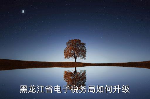 如何升級(jí)國稅系統(tǒng)，河南省電子稅務(wù)局版本過低怎么升級(jí)