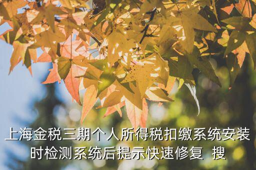 個(gè)稅安裝包如何恢復(fù)，上海金稅三期個(gè)人所得稅扣繳系統(tǒng)安裝時(shí)檢測(cè)系統(tǒng)后提示快速修復(fù)  搜