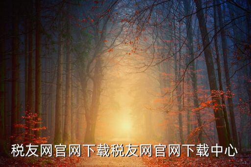 稅友如何下載，個稅在稅友網上下載下來了然后怎么安裝