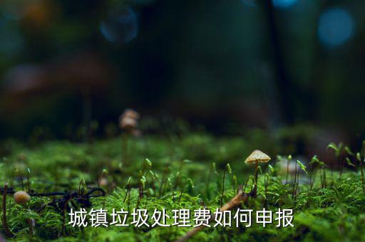 城市生活垃圾費(fèi)如何申報(bào)，城鎮(zhèn)垃圾處理費(fèi)如何申報(bào)