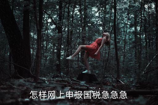 國(guó)稅網(wǎng)上稅務(wù)如何申報(bào)，怎樣網(wǎng)上申報(bào)國(guó)稅急急急