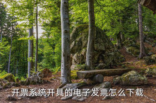 發(fā)票助手如何安裝在手機上，增值稅發(fā)票稅控開票軟件怎么安裝
