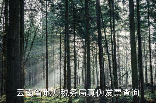 如何查詢云南國稅發(fā)票真?zhèn)尾樵?，云南省地方稅?wù)局真?zhèn)伟l(fā)票查詢