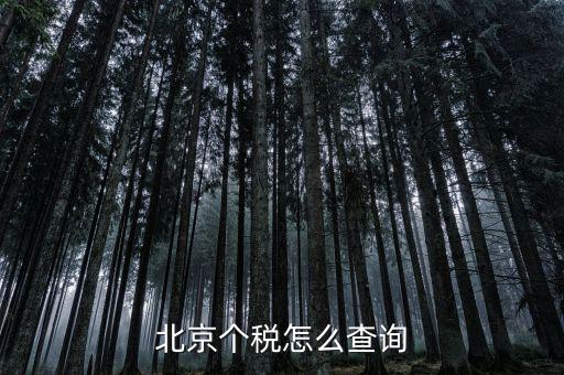 北京地稅局官網(wǎng)如何查個(gè)稅，怎么查詢最新北京個(gè)稅繳納情況