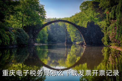 重慶市稅務局電腦如何下載，重慶市自然人電子稅務局扣繳端怎么下載