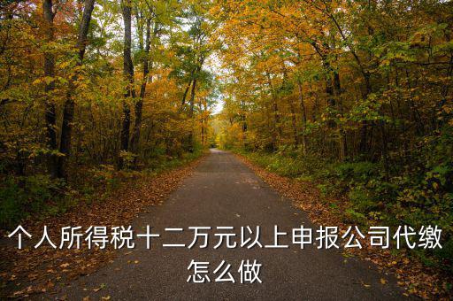 如何做好12萬元申報征收工作，個人所得稅十二萬元以上申報公司代繳怎么做