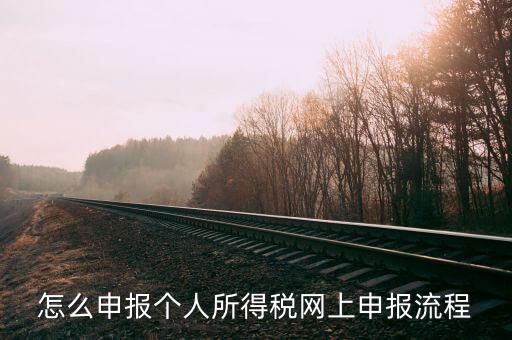 泉州個人所得稅如何網上申報，個人所得稅網上申報步驟