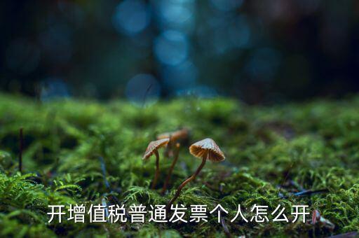 普票如何開給個人，增值稅普通發(fā)票開個人需要什么資料