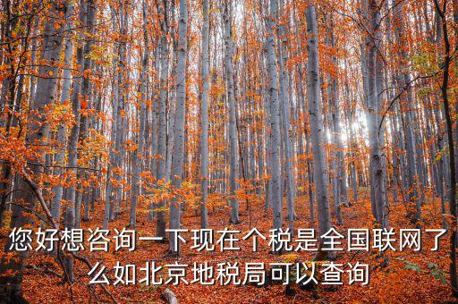 您好想咨詢一下現(xiàn)在個(gè)稅是全國(guó)聯(lián)網(wǎng)了么如北京地稅局可以查詢