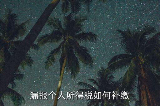 安徽省個稅如何補(bǔ)充申報，漏報個人所得稅如何補(bǔ)繳