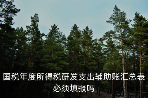 研發(fā)支出輔助賬匯總表該如何填寫，什么企業(yè)需要填 研發(fā)支出輔助賬匯總表