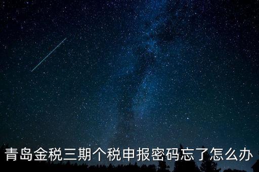 如何重置金三個稅系統(tǒng)申報密碼，青島金稅三期個稅申報密碼忘了怎么辦