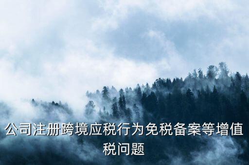 公司注冊(cè)跨境應(yīng)稅行為免稅備案等增值稅問(wèn)題