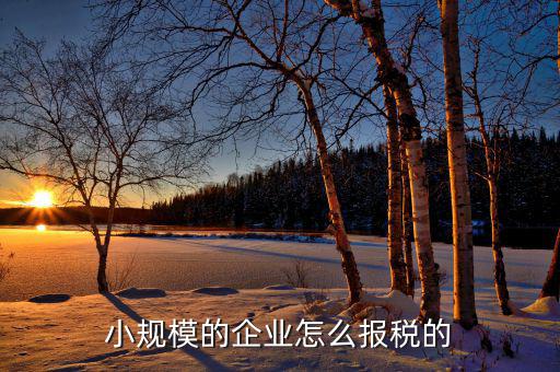 小企業(yè)會計如何報國稅，企業(yè)會計報稅流程是怎么樣的