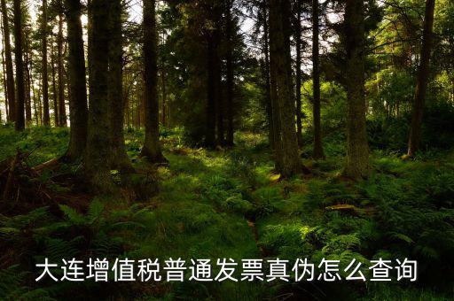 大連定額發(fā)票如何查詢系統(tǒng)，大連增值稅普通發(fā)票真?zhèn)卧趺床樵?/></a></span><span id=