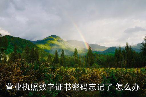 如何找回數(shù)字證書密碼，營業(yè)執(zhí)照數(shù)字證書密碼忘記了 怎么辦